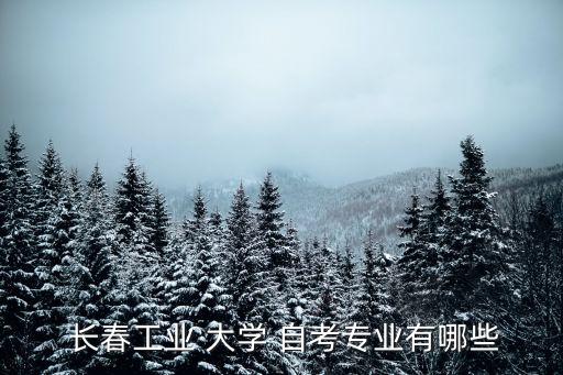  长春工业 大学 自考专业有哪些
